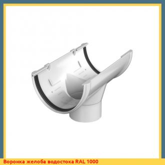 Воронка желоба водостока RAL 2000